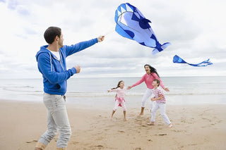 New Arrive  Outdoor Fun Sports Single Line Software Whale/ Dolphin Kite / Animal Kites With Handle and String Good Flying