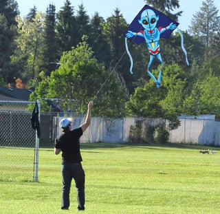 New Outdoor Fun Sports Kites For Kids And Adults Large Easy Flyer Kites 55Inch X 38Inch With String And Handle