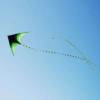 Large Prairie Kite Flying Toys For Children Kites Handle Line Outdoor Sports Kites Nylon Professional Kites
