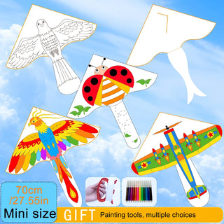 New hand-painted blank kite, diy kite with 12 color coloring tool +kite string, Multiple styles，Educational kite