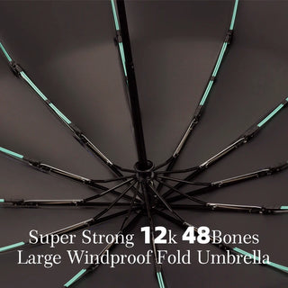 24 Bone Double Keel Fully Automatic Umbrella for Men and Women Sunny and Rainy Foldable Umbrella