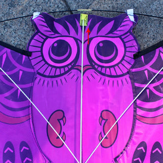 3D Owl Kite Kids Toys Funny Outdoor Sports Classic Activity Game With Tail Toys For Children Early Learning Educational