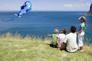 New Arrive  Outdoor Fun Sports Single Line Software Whale/ Dolphin Kite / Animal Kites With Handle and String Good Flying