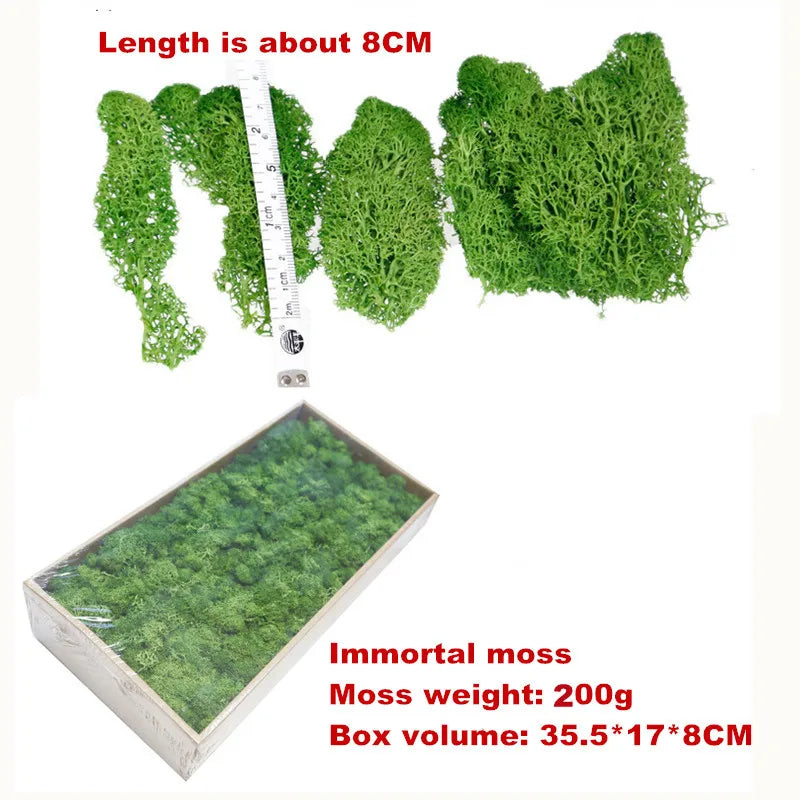 200g/1 box Green Natural Preserved Moss Lasting Preserved Home Garden Wedding Decoration supplies Moss FlowerArtificial plant