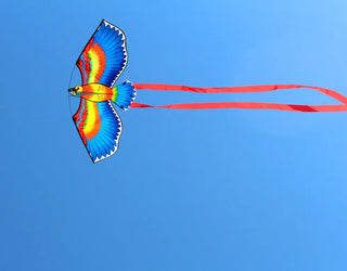 New Arrive  Outdoor Fun Sports  43inch Parrot /Bird Kite With Handle And Line For Kids  Good Flying