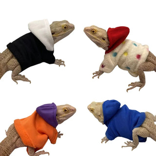 Bearded Dragon Clothes Costume Hand-made Coat Hoodie Jackets for Small Animal