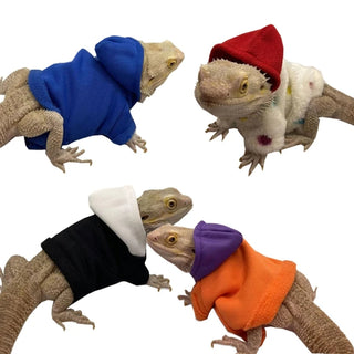 Bearded Dragon Clothes Costume Hand-made Coat Hoodie Jackets for Small Animal