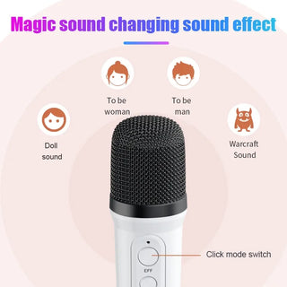 YS110 Wireless Bluetooth Speaker Karaoke Sound Home Theater Dual Microphone Mini Music Box TF/USB/Variable Sound Multi Function