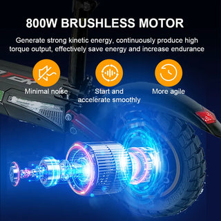 7 Days Delivery 800W Powerful Electric Kick Scooter Anti-skid Off Road Tire 45KM/H e Scooter 45km 55km Range