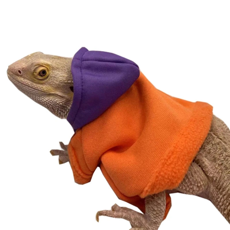 Bearded Dragon Clothes Costume Hand-made Coat Hoodie Jackets for Small Animal