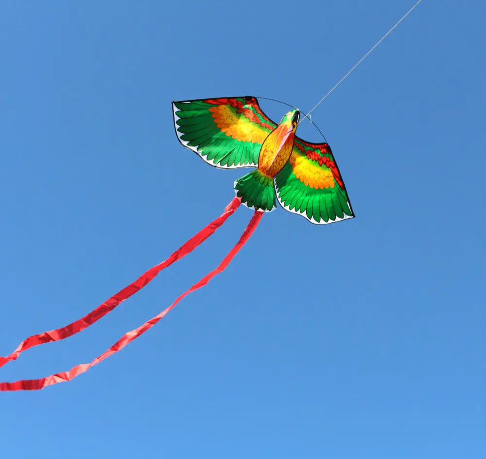 New Arrive  Outdoor Fun Sports  43inch Parrot /Bird Kite With Handle And Line For Kids  Good Flying