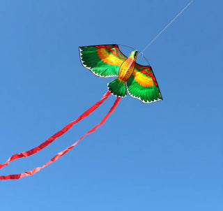 New Arrive  Outdoor Fun Sports  43inch Parrot /Bird Kite With Handle And Line For Kids  Good Flying