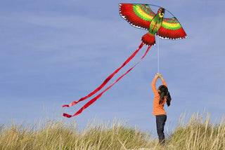 New Arrive  Outdoor Fun Sports  43inch Parrot /Bird Kite With Handle And Line For Kids  Good Flying