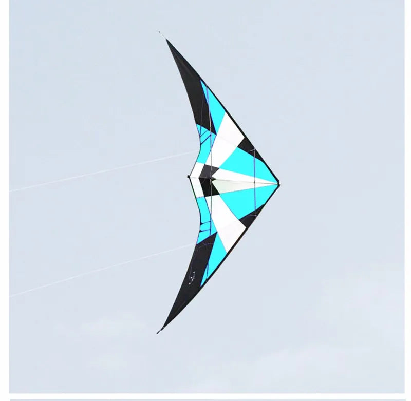 High quality 1.8m Power Professional Dual Line Stunt Kite Outdoor Sport Power Kite Flying Tools albatross kite