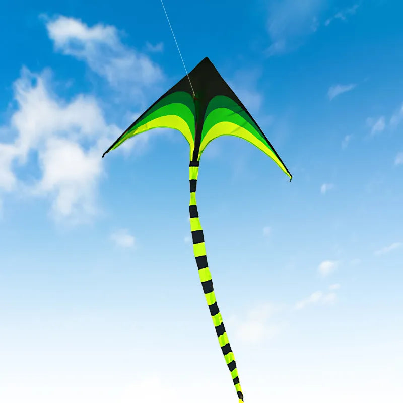 YongJian Large Delta Kite for Kids & Adults Easy to Fly Large Huge Delta Kite Come with 6m Tail Easy to Fly Kite Outdoor Toy