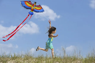 New Arrive  Outdoor Fun Sports  43inch Parrot /Bird Kite With Handle And Line For Kids  Good Flying